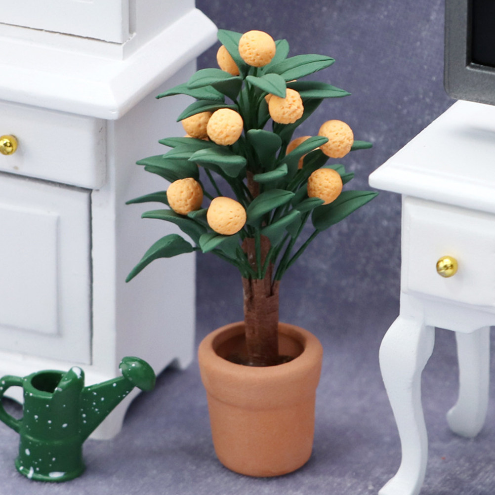 Miniature Kumquat Tree Potted  - Bonsai Garden Europe ulasan dan harga