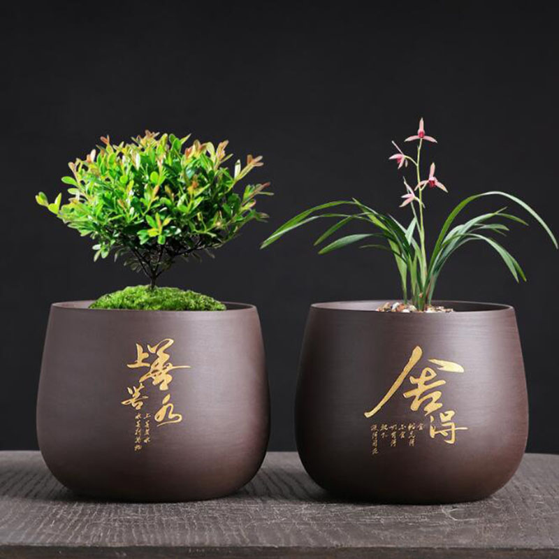 Chinese Style Purple Clay Flow - Bonsai Garden Europe ulasan dan harga