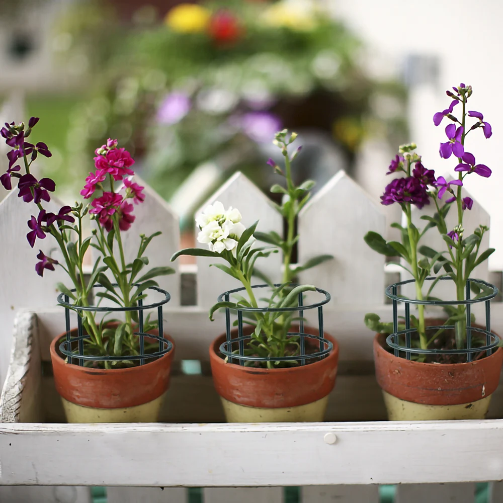 Garden Plant Support Cage Plie - Bonsai Garden House ulasan dan harga