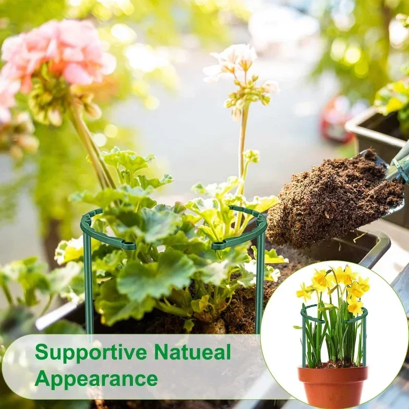 Garden Plant Support Cage Plie - Bonsai Garden House ulasan dan harga