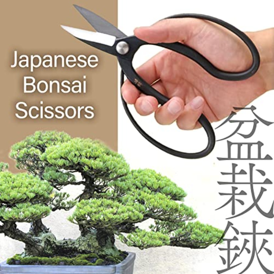Japanese Suiryu Bonsai Scissor - Japan Bonsai Garden ulasan dan harga