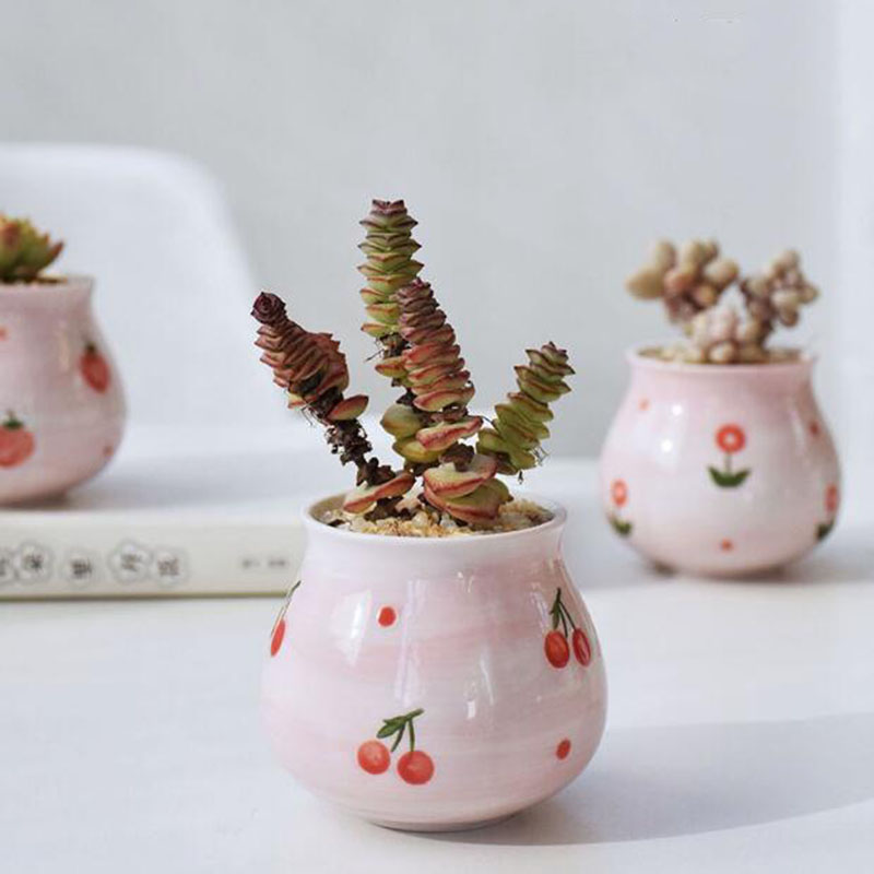Cute Pink Girl Heart Series Fl - Bonsai Garden Europe ulasan dan harga