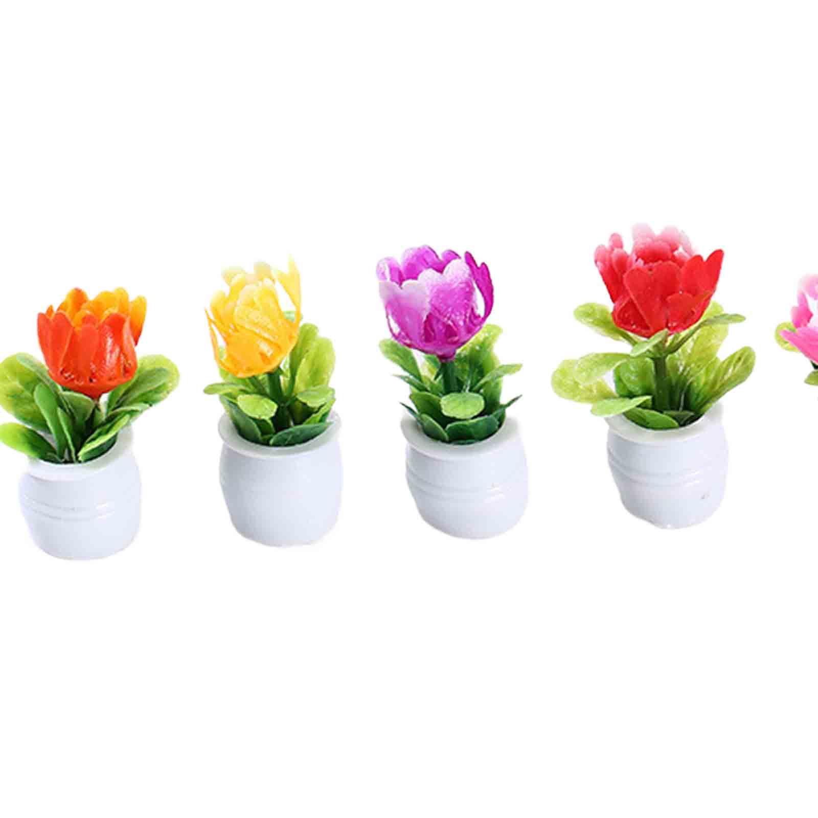 5Pcs 1:12 Dollhouse Miniature  - Bonsai Garden Europe ulasan dan harga