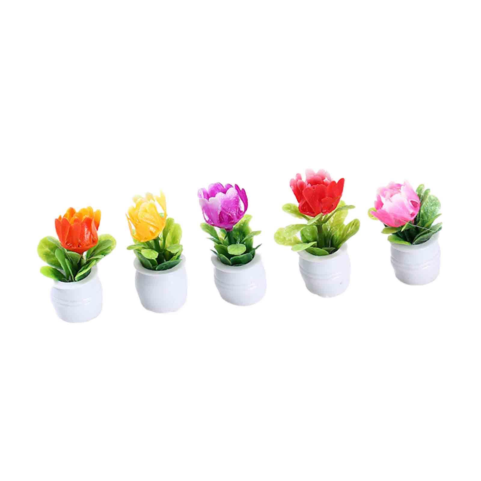 5Pcs 1:12 Dollhouse Miniature  - Bonsai Garden Europe ulasan dan harga