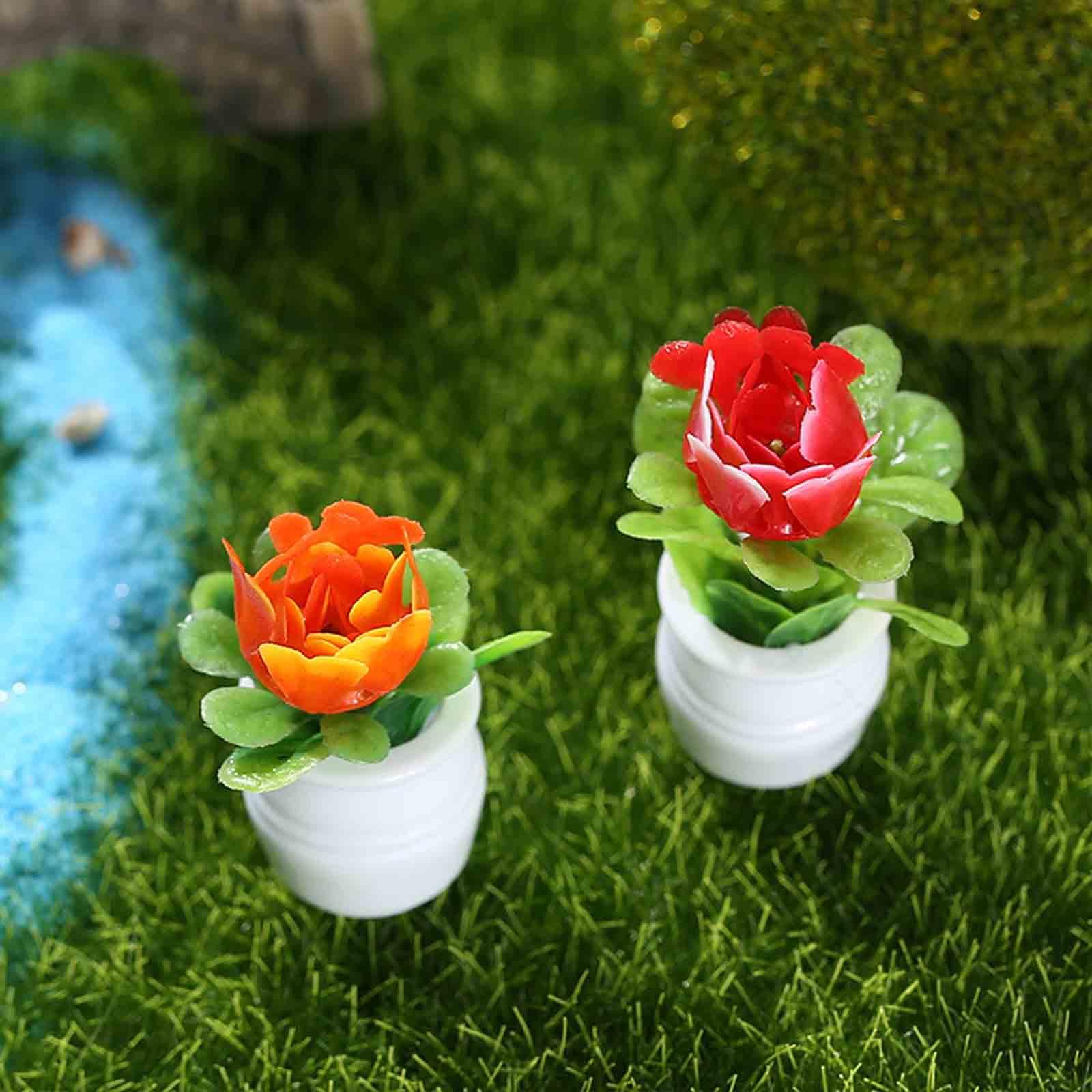 5Pcs 1:12 Dollhouse Miniature  - Bonsai Garden Europe ulasan dan harga
