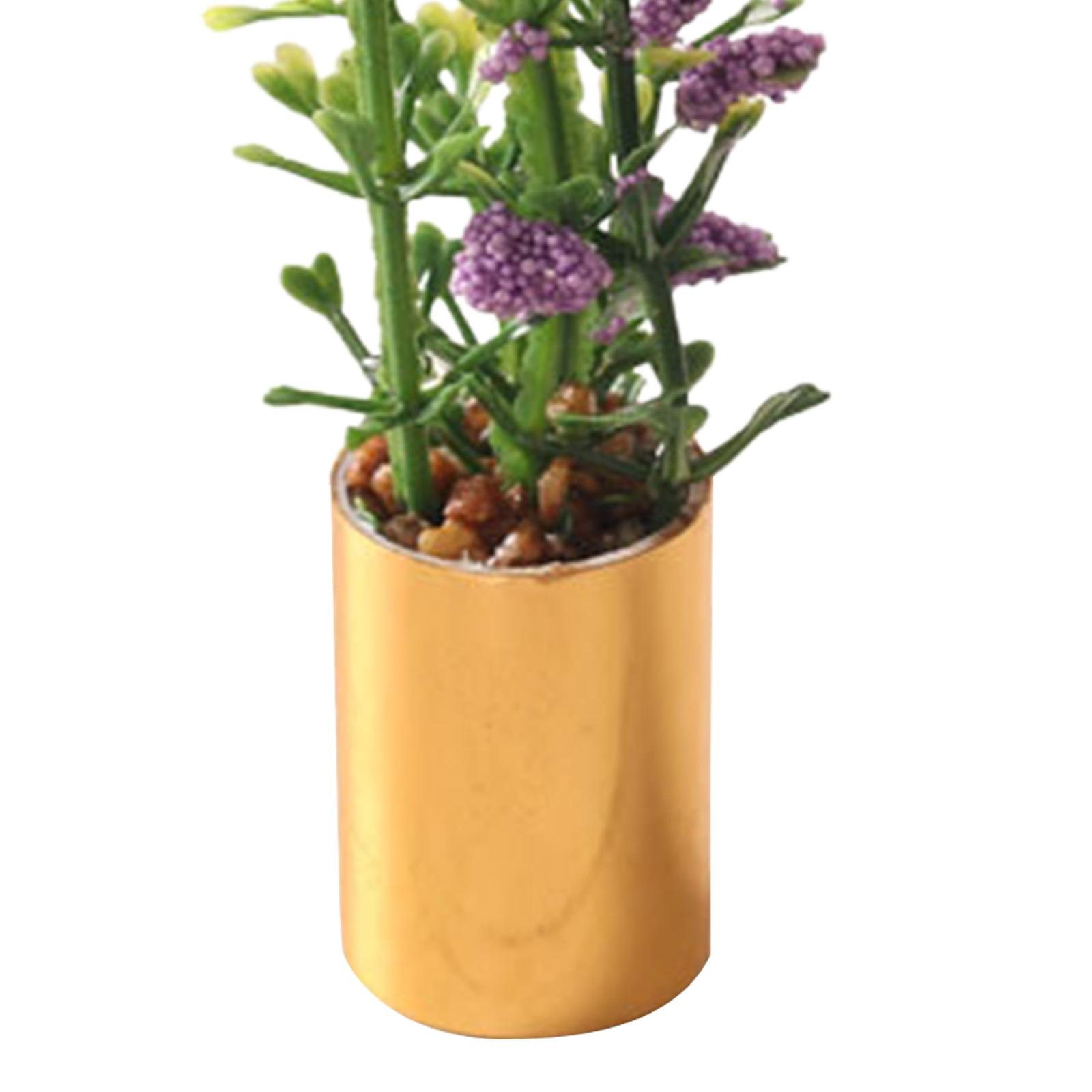 Miniature Potted Plant Ornamen - Bonsai Garden Europe ulasan dan harga
